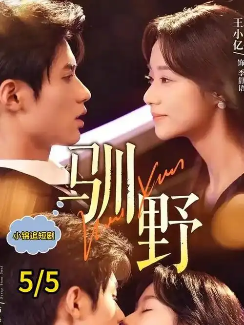 顶楼 韩剧 海报